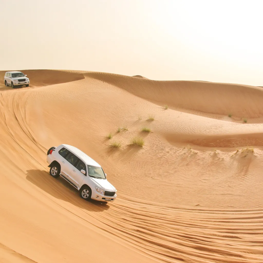 Home 16 Desert Safari Pickup Points
